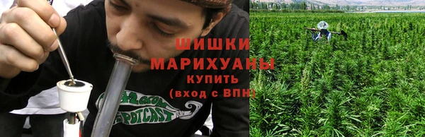 ECSTASY Абаза